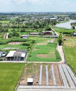 Đất thổ cư - Lạc Tấn - Tân Trụ (Nhựt Tảo - Tây Ninh)