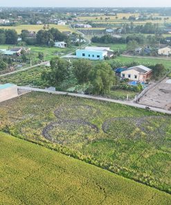 190m2 Thổ cư - Vàm Cỏ - Tây Ninh ( Đức Tân - Tân Trụ)