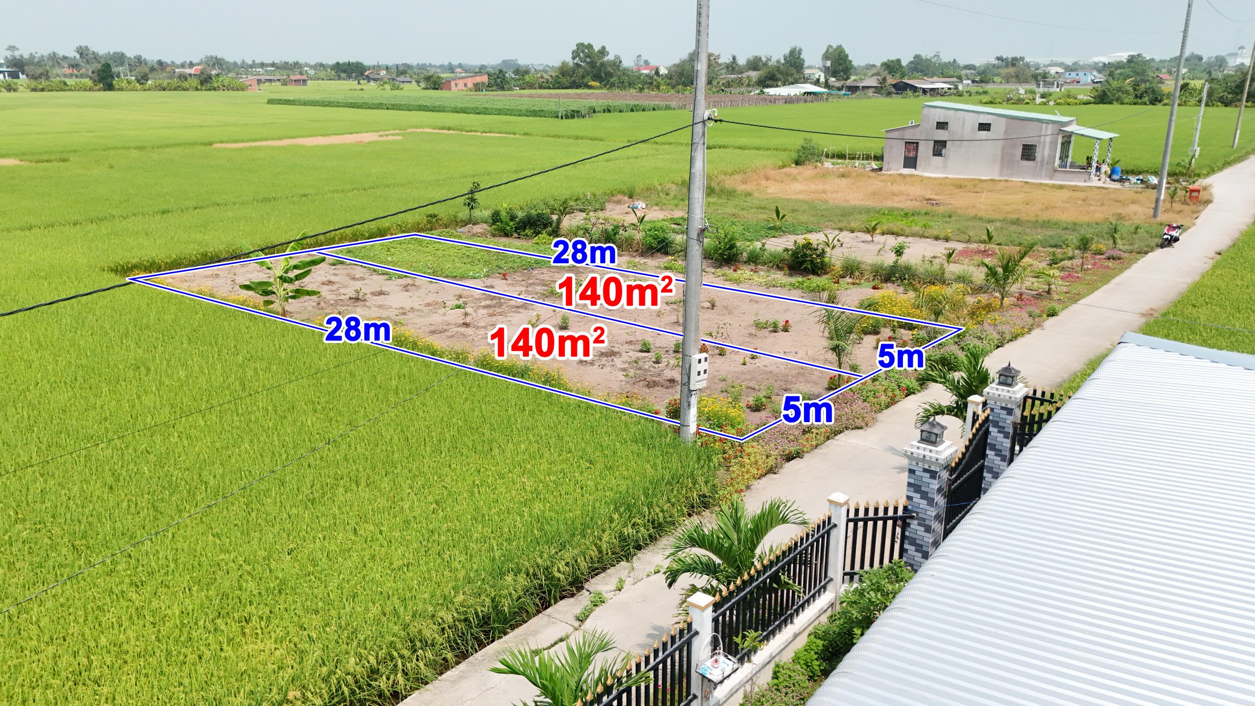 140m² Thổ cư - Bình Lãng - Tân Trụ - Đường Ngô Văn Nở - 4m